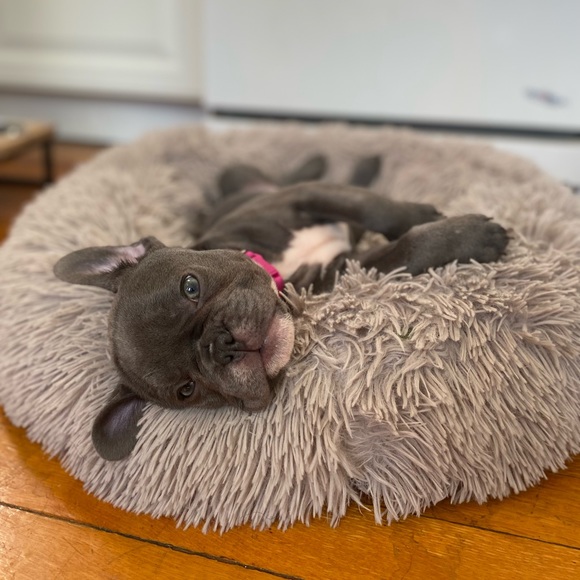 Meet your Posher, Ilgin - Picture 3 of 4